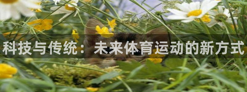 米兰体育官网下载招商：科技与传统：未来体育运动的新方