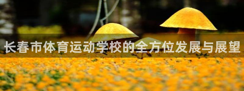 米兰体育官方集团官网：长春市体育运动学校的全方位发展