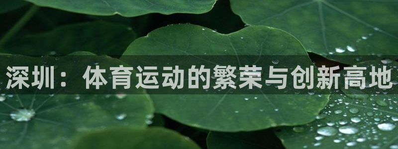 米兰体育官网下载软件：深圳：体育运动的繁荣与创新高地