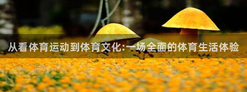米兰体育官网下载招商电话号码是多少啊：从看体育运动到