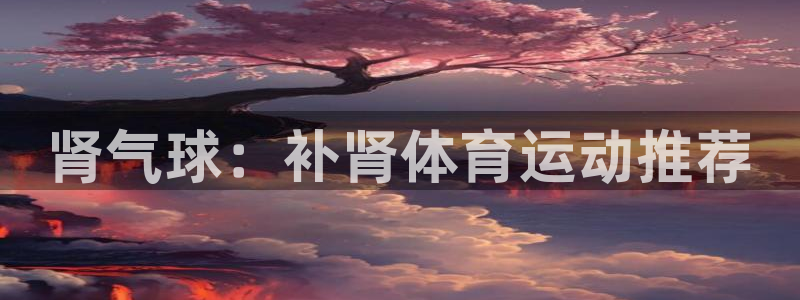 米兰体育官方平台体育：肾气球：补肾体育运动推荐