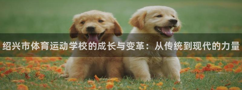 米兰体育官方正版app官网：绍兴市体育运动学校的成长
