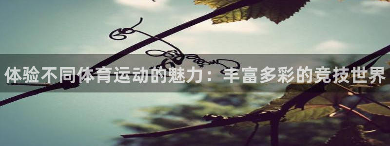 米兰体育官方正版app官网：体验不同体育运动的魅力：