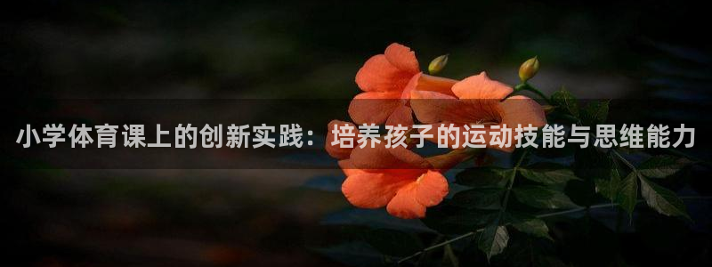 注册米兰体育官方正版app：小学体育课上的创新实践：