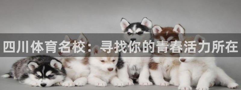 米兰体育官方平台体育：四川体育名校：寻找你的青春活力