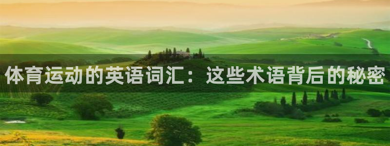 米兰体育官方正版app官网：体育运动的英语词汇：这些术语背后