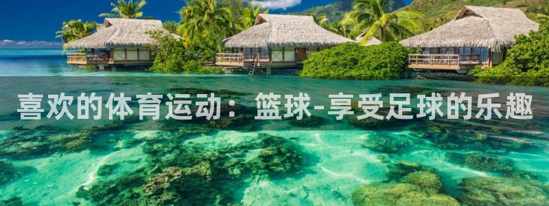 米兰体育官方正版app娱乐：喜欢的体育运动：篮球-享