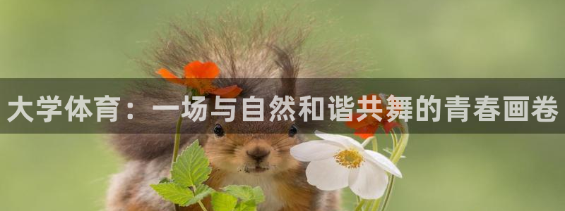 米兰体育官方正版app集团官网网址：大学体育：一场与