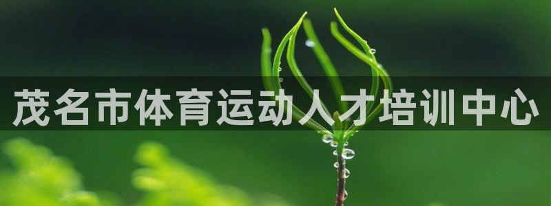 米兰体育官网下载平台注册流程图：茂名市体育运动人才培训中心