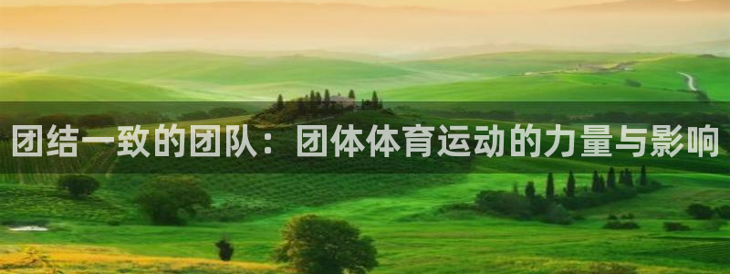米兰体育官网下载平台APP：团结一致的团队：团体体育运动的力