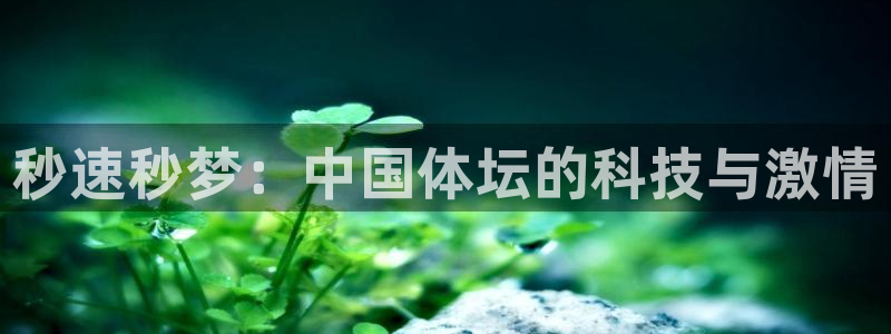 米兰体育官网下载平台是正规平台吗：秒速秒梦：中国体坛