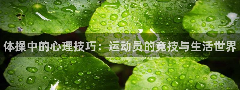 米兰体育官方平台体育：体操中的心理技巧：运动员的竞技
