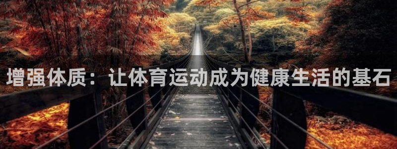 米兰体育官方正版app娱乐下载