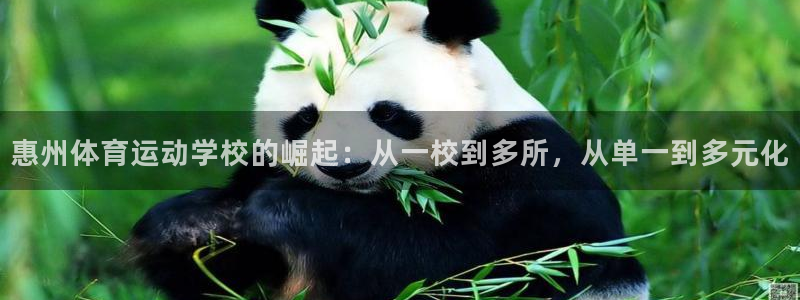 米兰体育官网下载平台注册要钱吗：惠州体育运动学校的崛起：从一