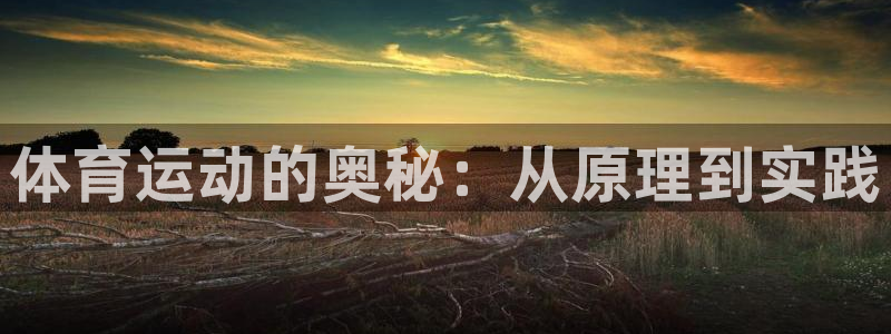 米兰体育官网下载招商电话号码是多少号：体育运动的奥秘：从原理