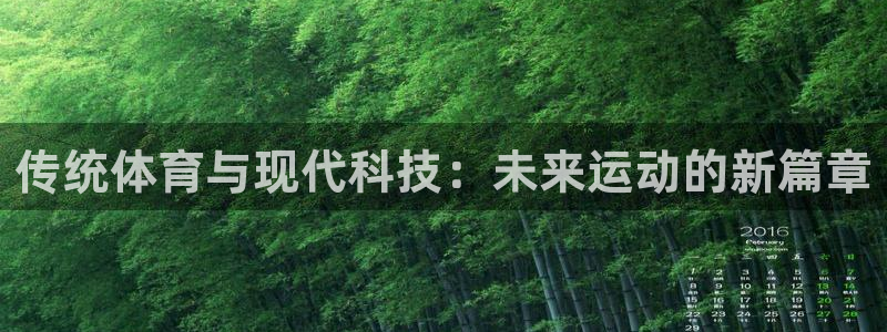 米兰体育官方正版app代理：传统体育与现代科技：未来运动的新
