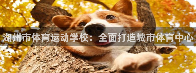 米兰体育官网下载娱乐：湖州市体育运动学校：全面打造城市体育中