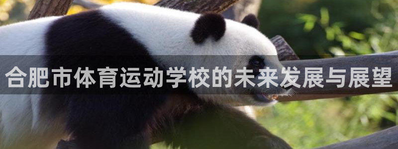 米兰体育官方正版app娱乐是那个系列的台子：合肥市体育运动学