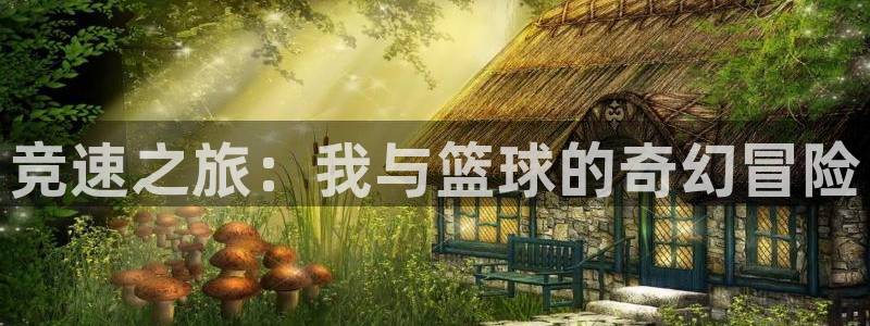 米兰体育官网下载是干嘛的公司