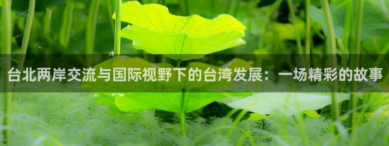 袋鼠直播nba体育：台北两岸交流与国际视野下的台湾发展：一场精彩的故事