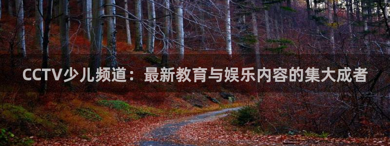 袋鼠直播nba免费观看足球