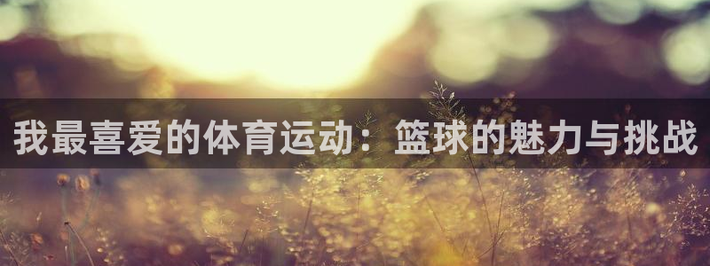 米兰体育入口官网下载：我最喜爱的体育