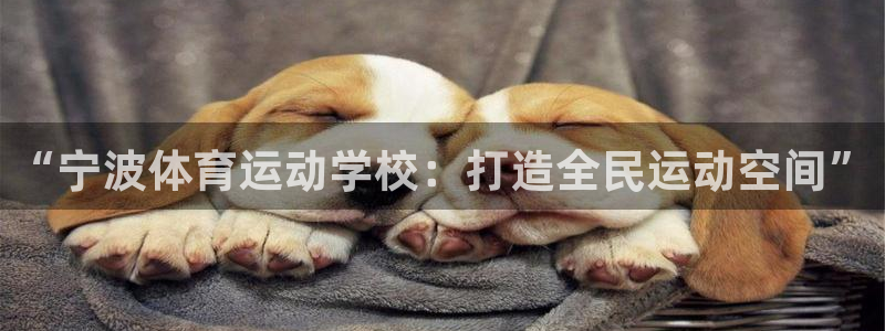 米兰体育比分查询官网