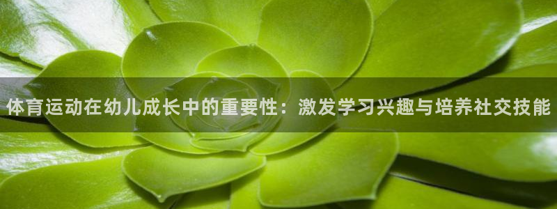 米兰体育