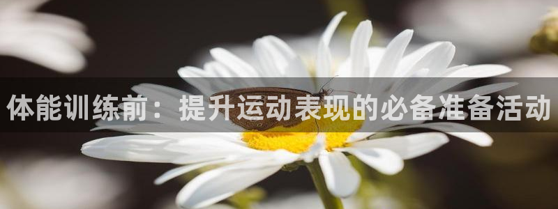 米兰体育官网下载