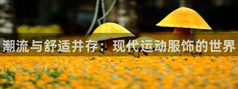 米兰体育官方正版app娱乐代理怎么样：潮流与舒适并存：现代运