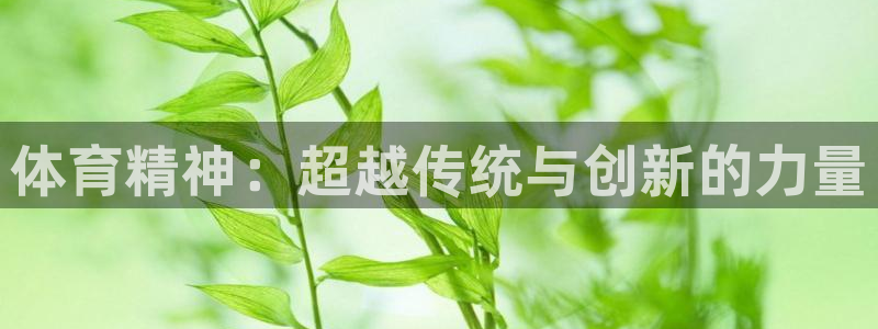 米兰体育官网下载平台假的吗是真的吗