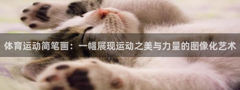 米兰体育官网下载平台APP：体育运动简笔画：一幅展现运动之美