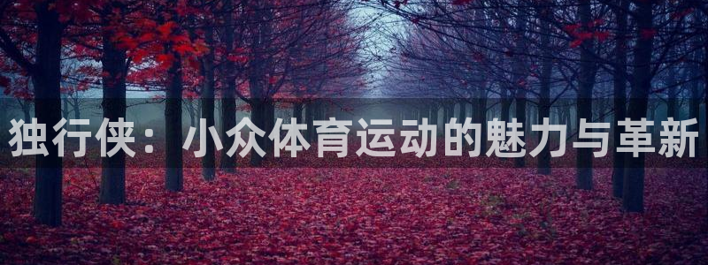 米兰体育官网下载招商电话是多少啊：独行侠：小众体育运动的魅力