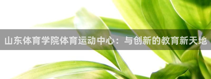 米兰体育官方正版app集团logo：山东体育学院体育运动中心