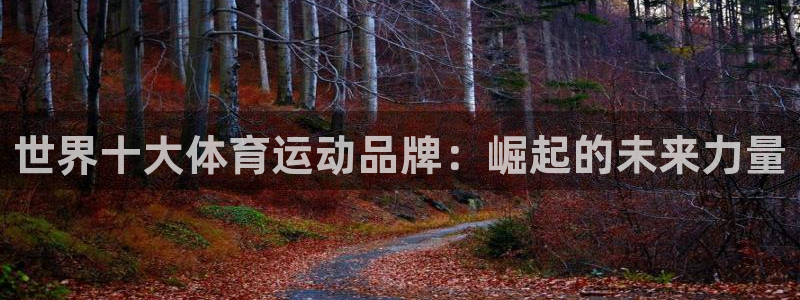 米兰体育官方正版app娱乐代理怎么样：世界十大体育运动品牌：