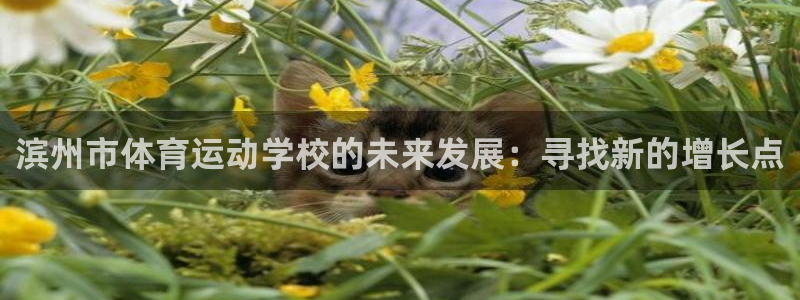 米兰体育官方正版app五金厂
