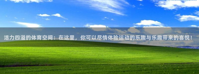 米兰体育官方正版app代理